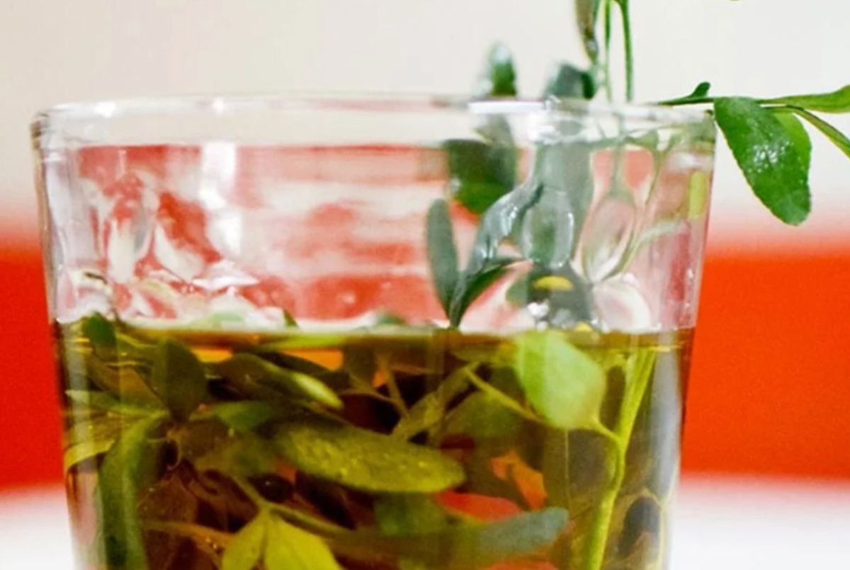 Día de la Pachamama: tres traguitos de caña con ruda ¡y salud! | Actualidad