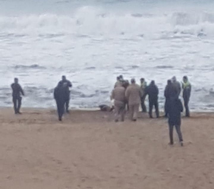 Mar del Plata: Una mujer apareció muerta en la playa Bahía Bonita | Actualidad