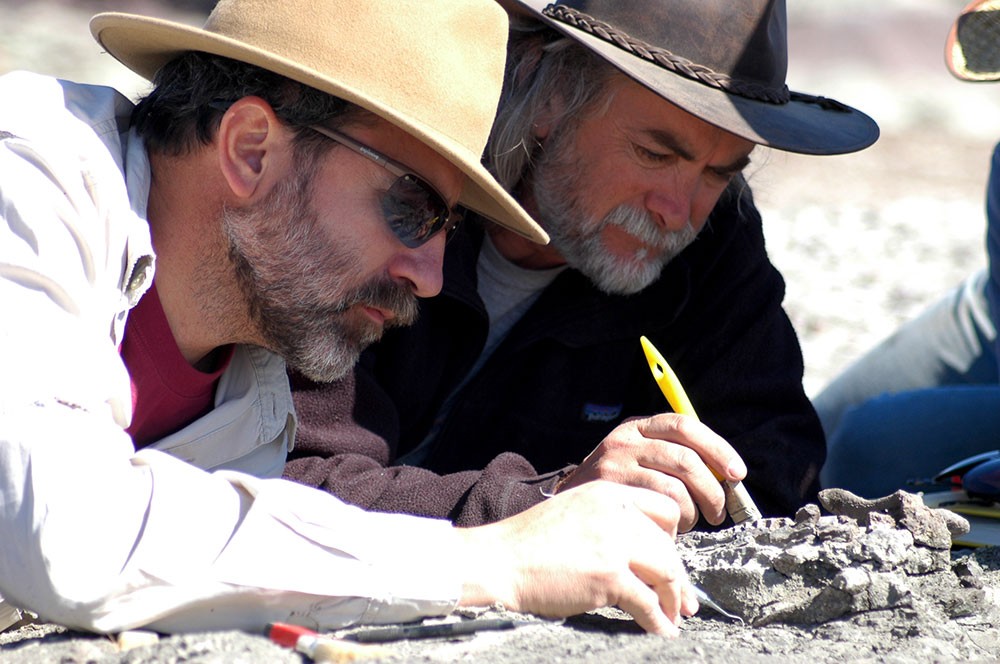 Hallaron en Ischigualasto una especie similar a "Scrat", la ardilla de "La era de hielo" | Actualidad