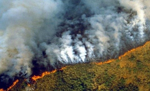 El humo de los incendios del Amazonas, a punto de ingresar a la Argentina | Actualidad