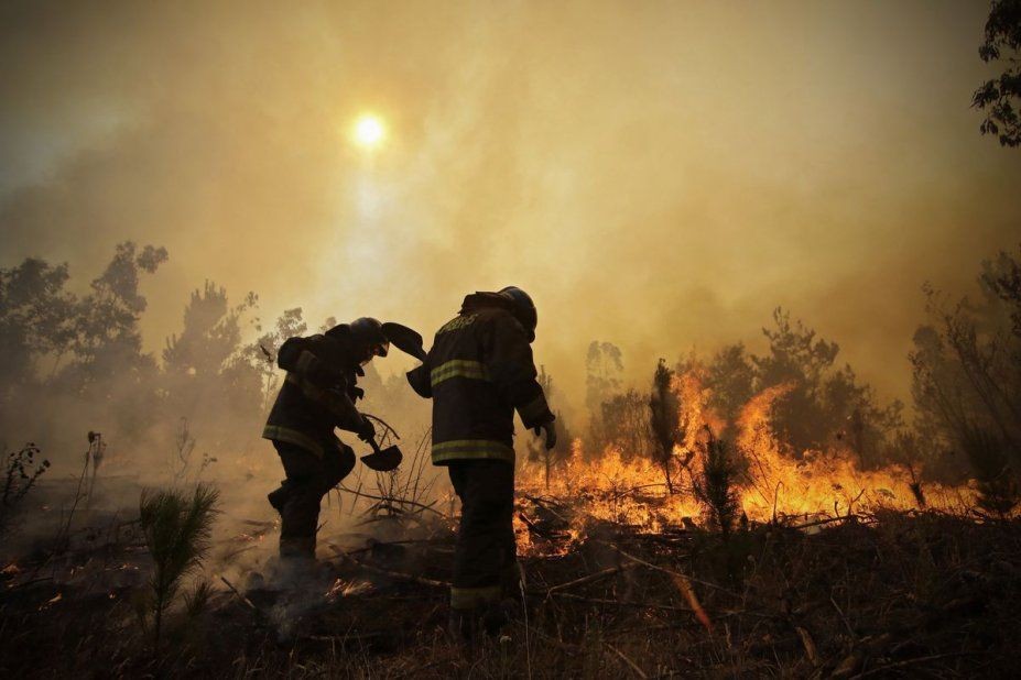 Argentina envía brigadistas y helicópteros al Amazonas para combatir los incendios | Actualidad