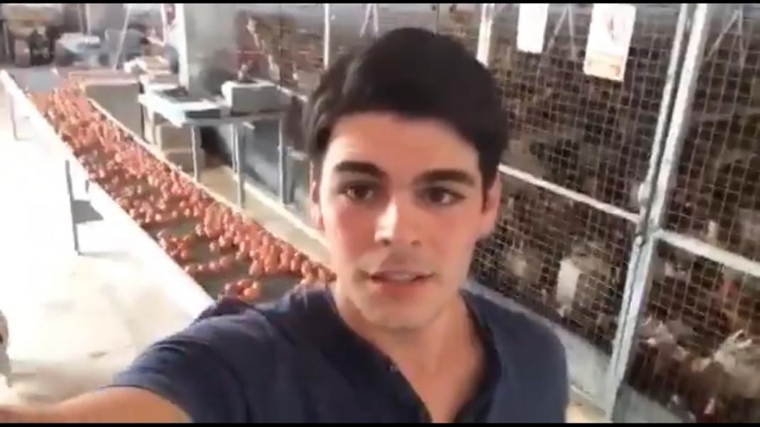 "Los gallos no violan a las gallinas", la respuesta de un hombre de campo al santuario vegano | Curiosidades