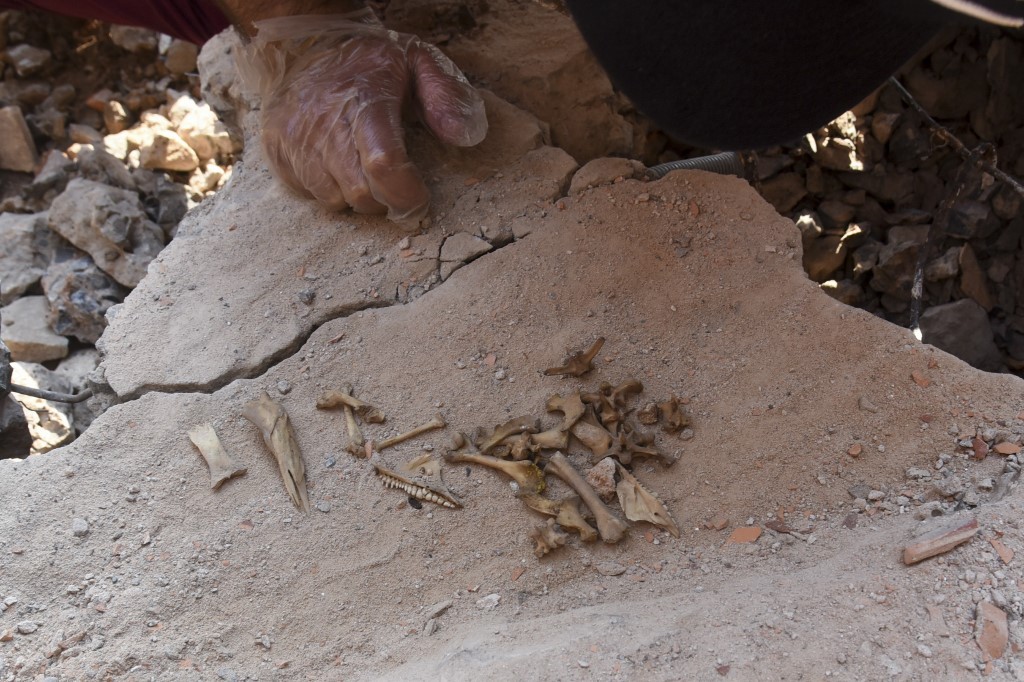 Alfredo Stroesner: conmoción por los huesos enterrados en la casa del dictador paraguayo | Internacionales