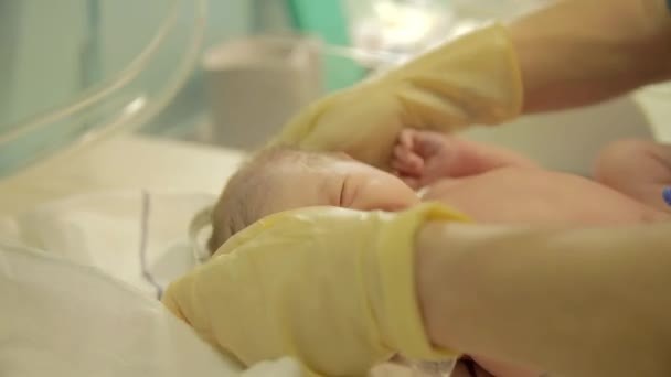 Hallaron abandonada en un basural a una beba dos horas después del parto | Actualidad