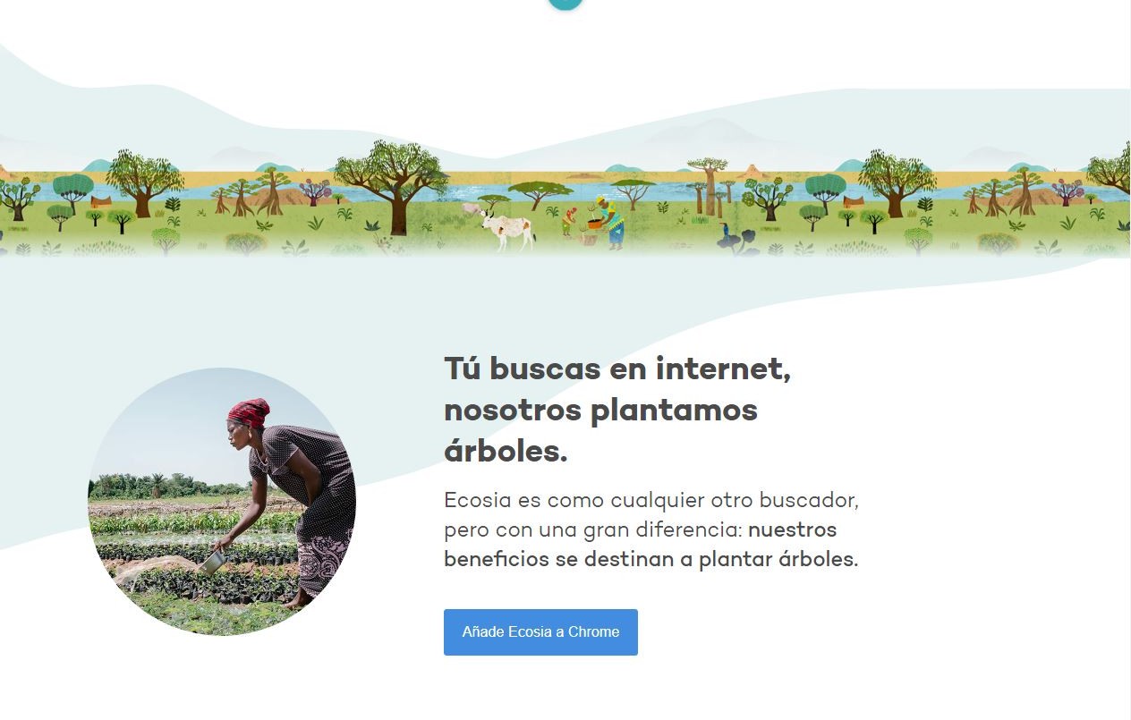 Ecosia, un buscador que promete plantar un árbol por cada búsqueda | Actualidad
