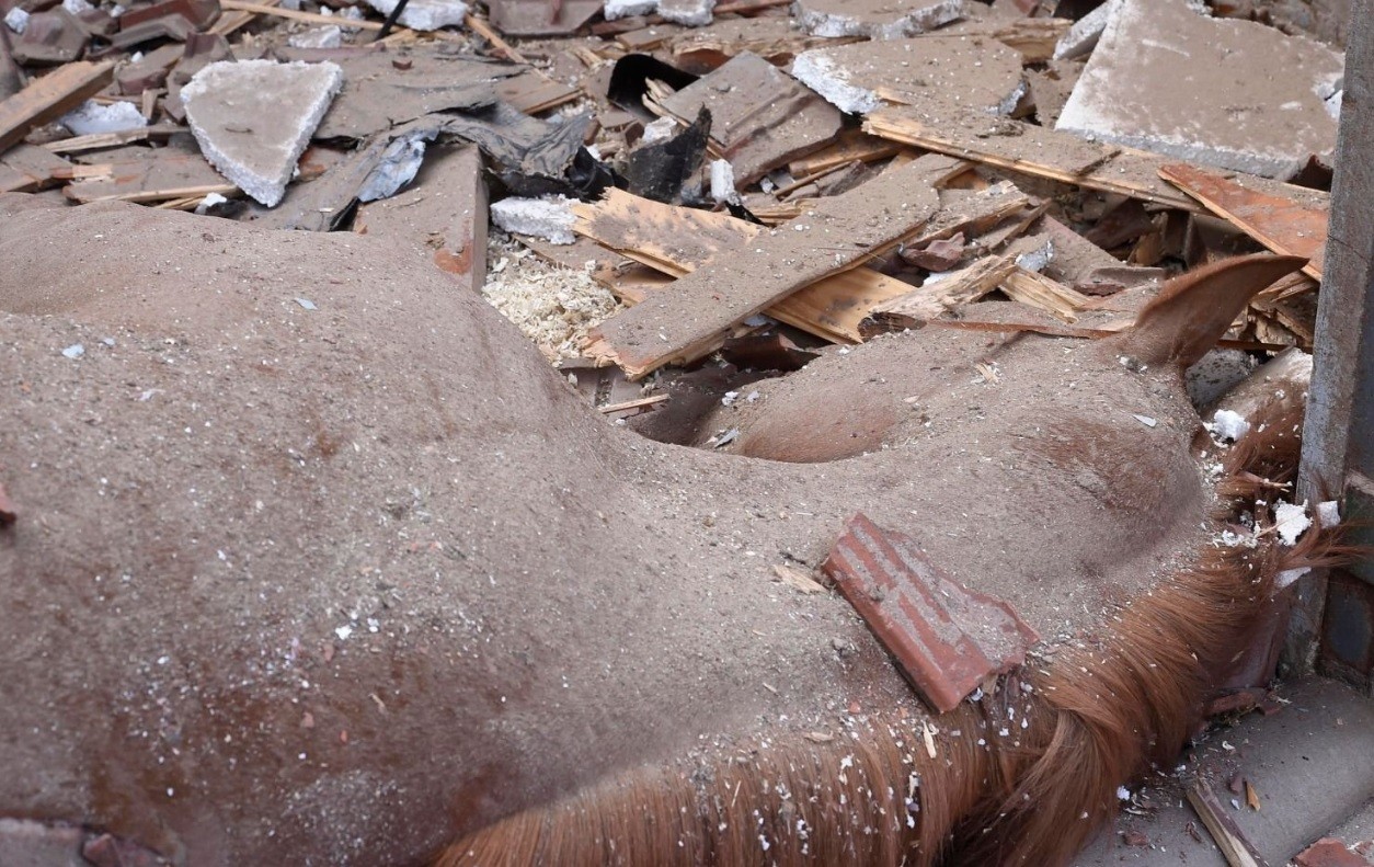 Se cayó una antena del Hipódromo de La Plata y mató a un caballo de carrera | Actualidad