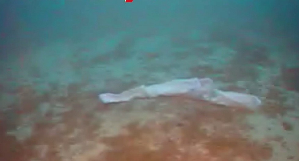 Buzo halló a una mujer y su bebé muertos en un naufragio: "Lo tuvo abrazado hasta el final" | Internacionales