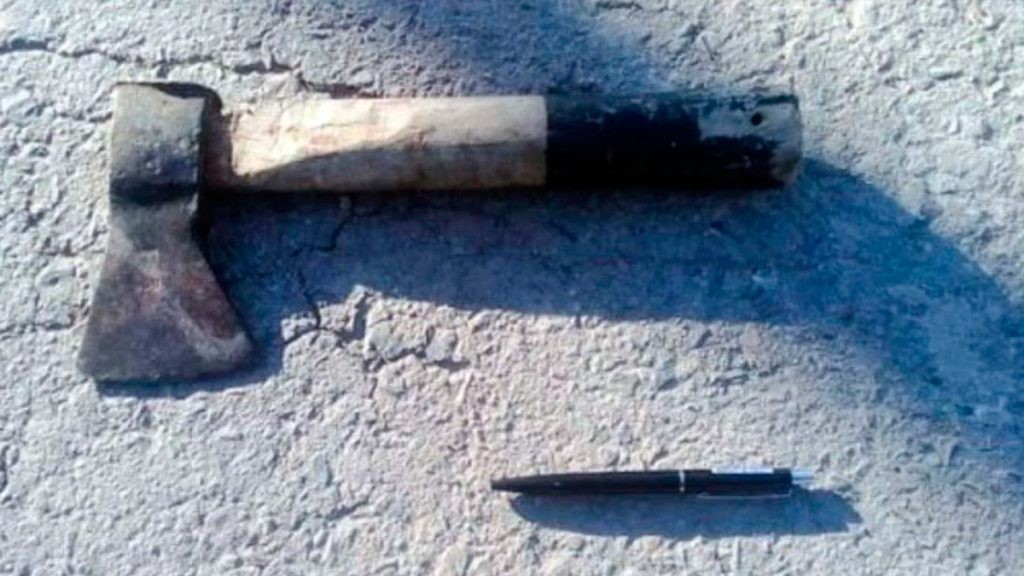 Atacó a su ex novia con un hacha y le cortó parte de la oreja: está detenido | Actualidad