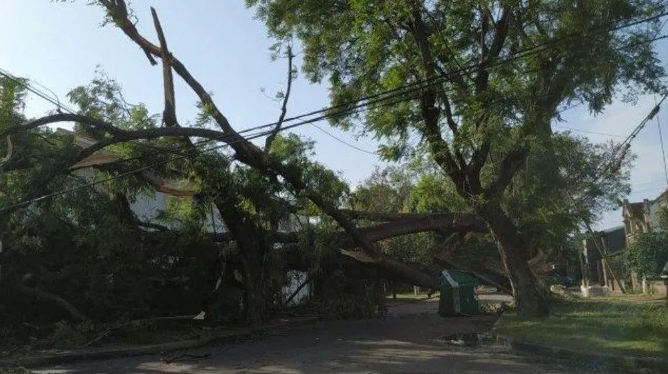 Murió aplastada por un árbol en medio de fuerte temporal en Santa Fe | Actualidad