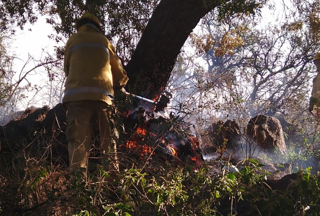 Continúa el incendio en Traslasierra: 45 evacuados | Córdoba