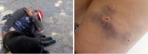 Bariloche: hartos de un violador de perros, marcharon para pedir justicia | Actualidad