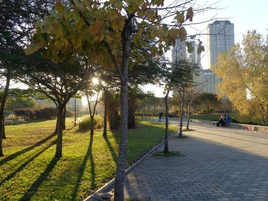 Puerto Madero: detenido por golpear y arrojarle un balde de combustible a su ex pareja | Actualidad