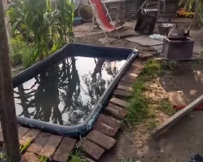 "¡Ahogalo!": detuvieron a una pareja en Rosario por intentar matar a su hijo de 9 años | Actualidad