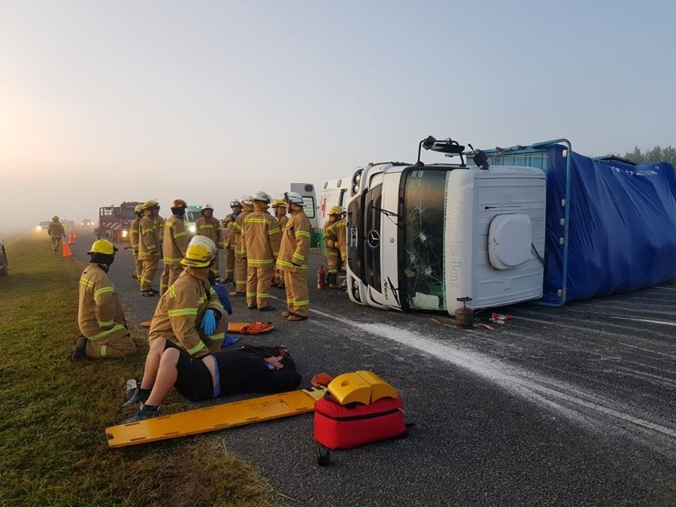 Toro suelto provoca triple accidente en la Ruta 2: hay heridos | Actualidad