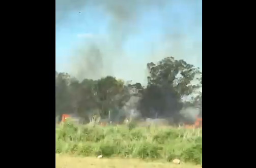 Video: fuego en los bosques de la entrada a Villa Gesell | Actualidad