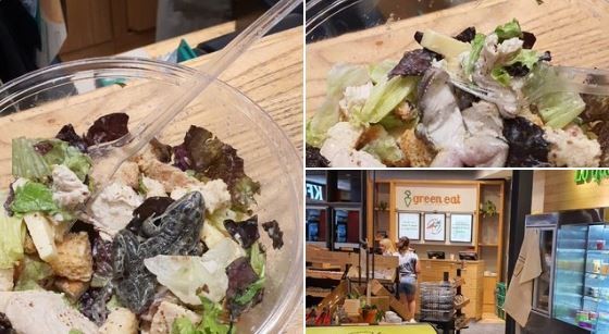 Desagradable: una pareja fue a comer a un shopping y se encontró una rana en la ensalada | Actualidad