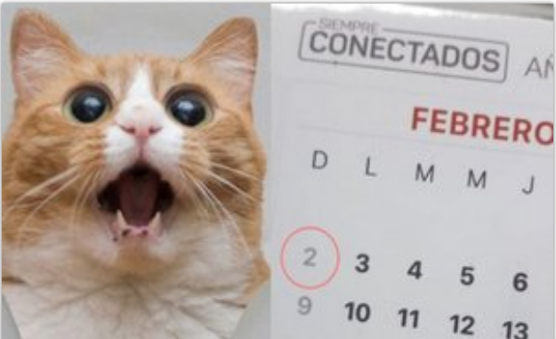 02/02/2020: domingo CAPICÚA que es furor en las redes | Curiosidades