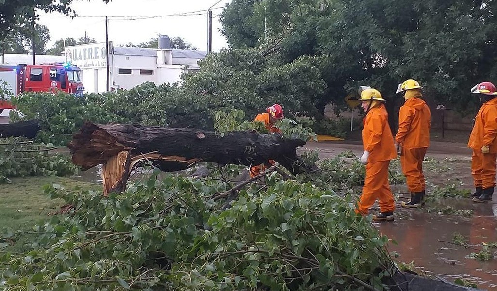 VIDEO: voladura de techos, caída de árboles y mucha lluvia en Coronel Moldes | Córdoba