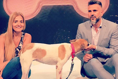 Leo Montero recibió en su programa a la perra maltratada en el tren Sarmiento y ya le buscan una familia | Espectáculos