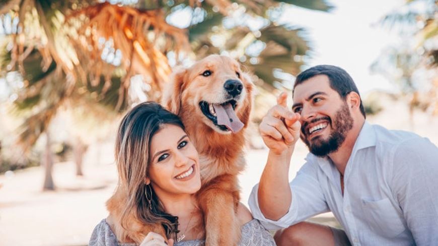 Polémica: ¿está mal llamar mascotas a los animales domésticos? | Redes