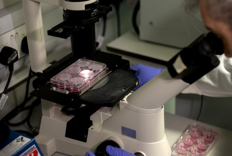 "Emocionante avance" en Israel: aseguran que tendrán la vacuna contra el coronavirus "en pocas semanas" | Internacionales