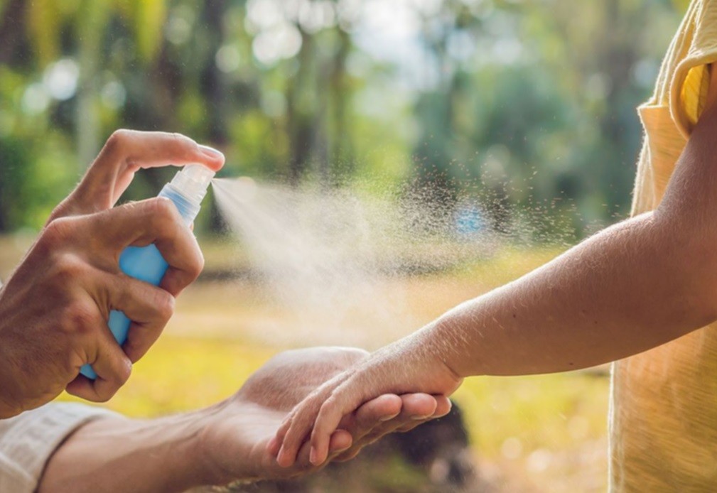 Dengue: producen y distribuyen repelentes gratis a sectores vulnerables | Actualidad