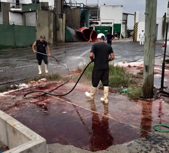 Video: Morón tuvo sus calles ensangrentadas por culpa de un frigorífico | Actualidad