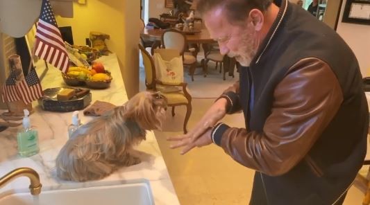 Video: Arnold Schwarzenegger explica cómo lavarse las manos para prevenir el coronavirus | Espectáculos