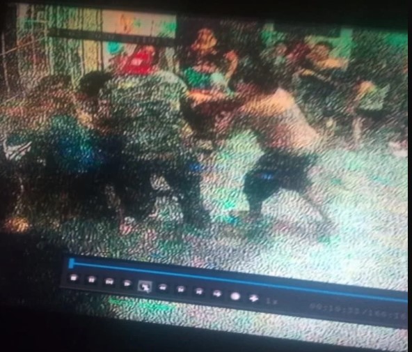 VIDEO: tremenda pelea entre dos familias por un caniche | Actualidad