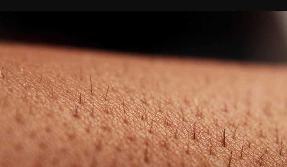 Coronavirus: dermatólogos alertan sobre manifestaciones cutáneas | Actualidad