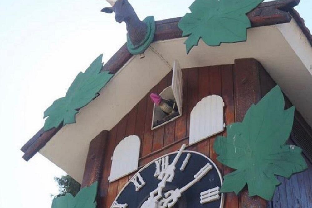 El "Cucú" de Carlos Paz amaneció con barbijo | Córdoba