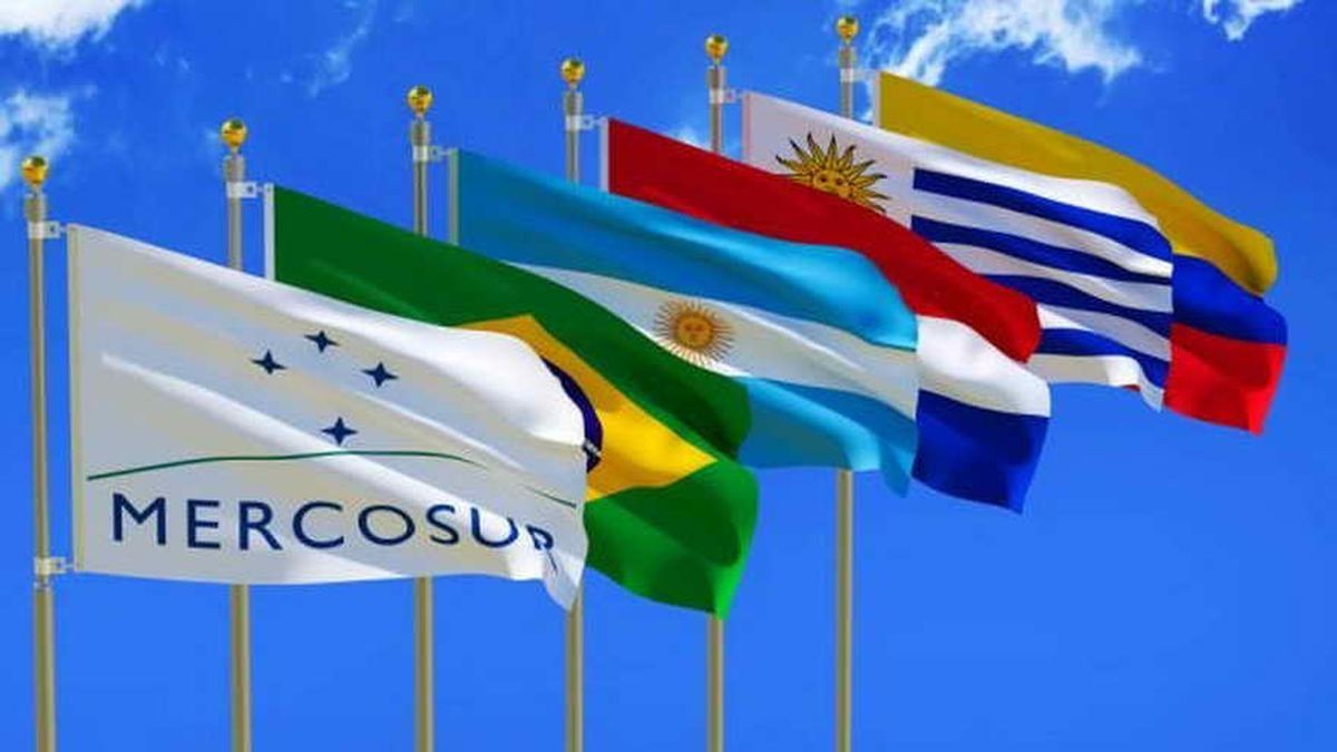 Mercosur: Argentina suspende su participación por diferencias con Brasil, Paraguay y Uruguay | Internacionales