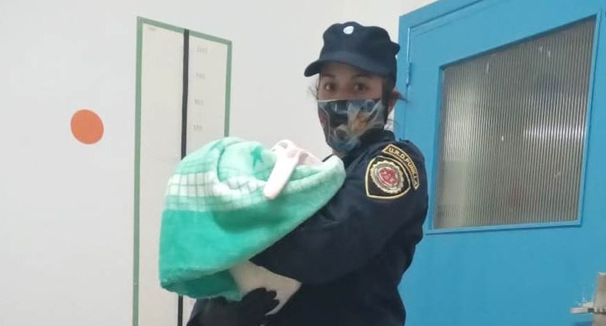 Villa Giardino: rescatan a una beba vendida por Facebook: padres y “compradora” detenidos | Córdoba