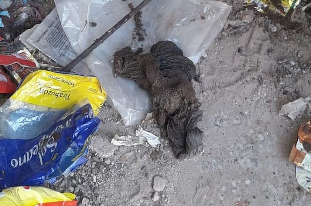 Presos de la cárcel de Coronda tenían una pistola escondida en la cloaca | Actualidad