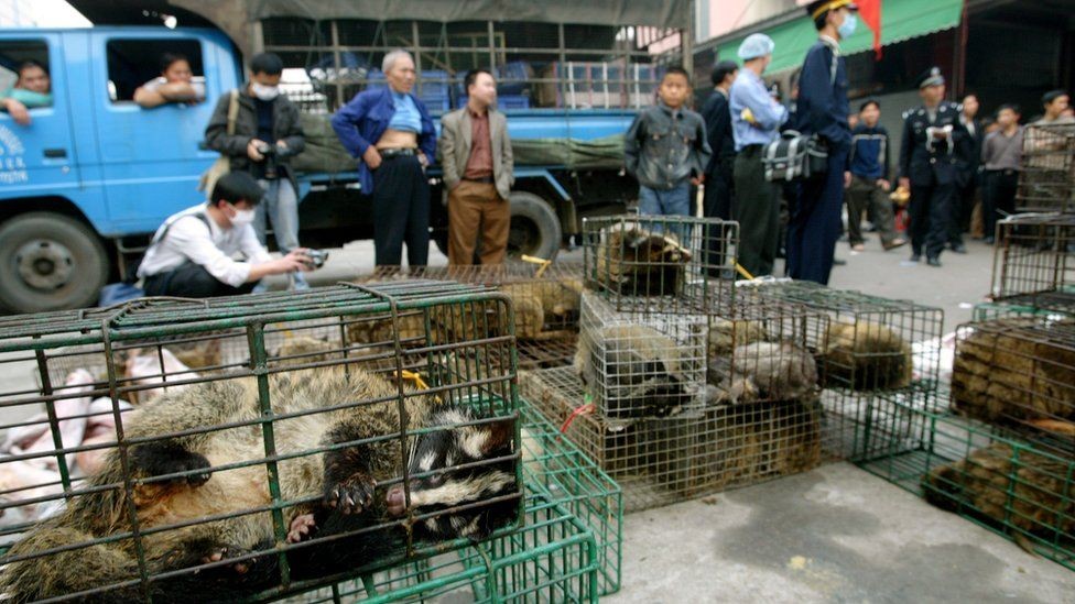 Prohíben el consumo de animales salvajes en la ciudad china de Wuhan | Internacionales