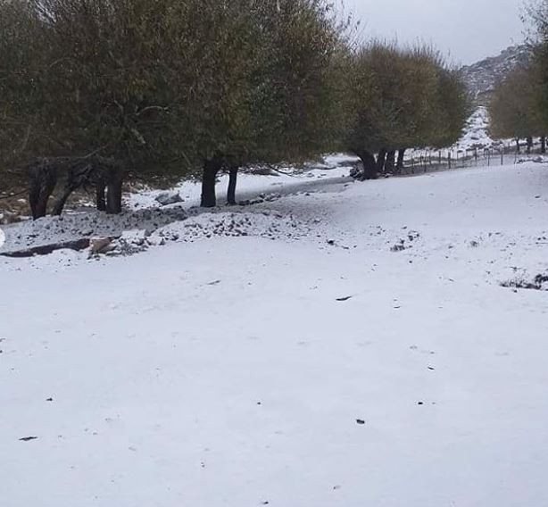 IMÁGENES: primera nevada del año pintó de blanco  las Altas Cumbres y Calamuchita | Córdoba