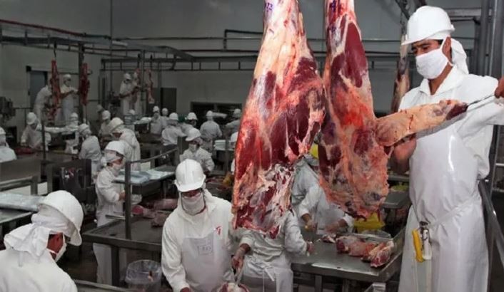 Baja el precio del asado | Actualidad