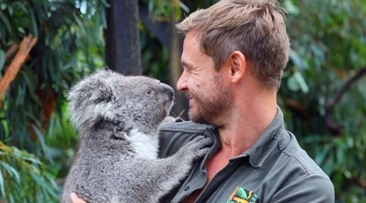 Hay esperanza: nació el primer koala en un parque australiano tras los incendios | Internacionales