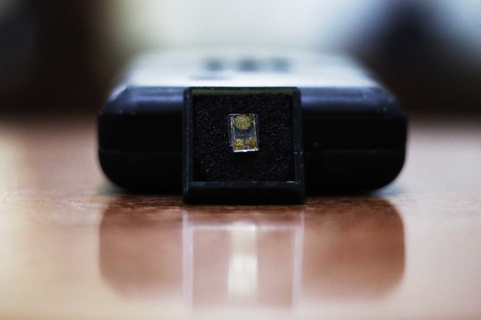 La Plata: desarrollan un dispositivo para detectar coronavirus en pocos minutos | Actualidad