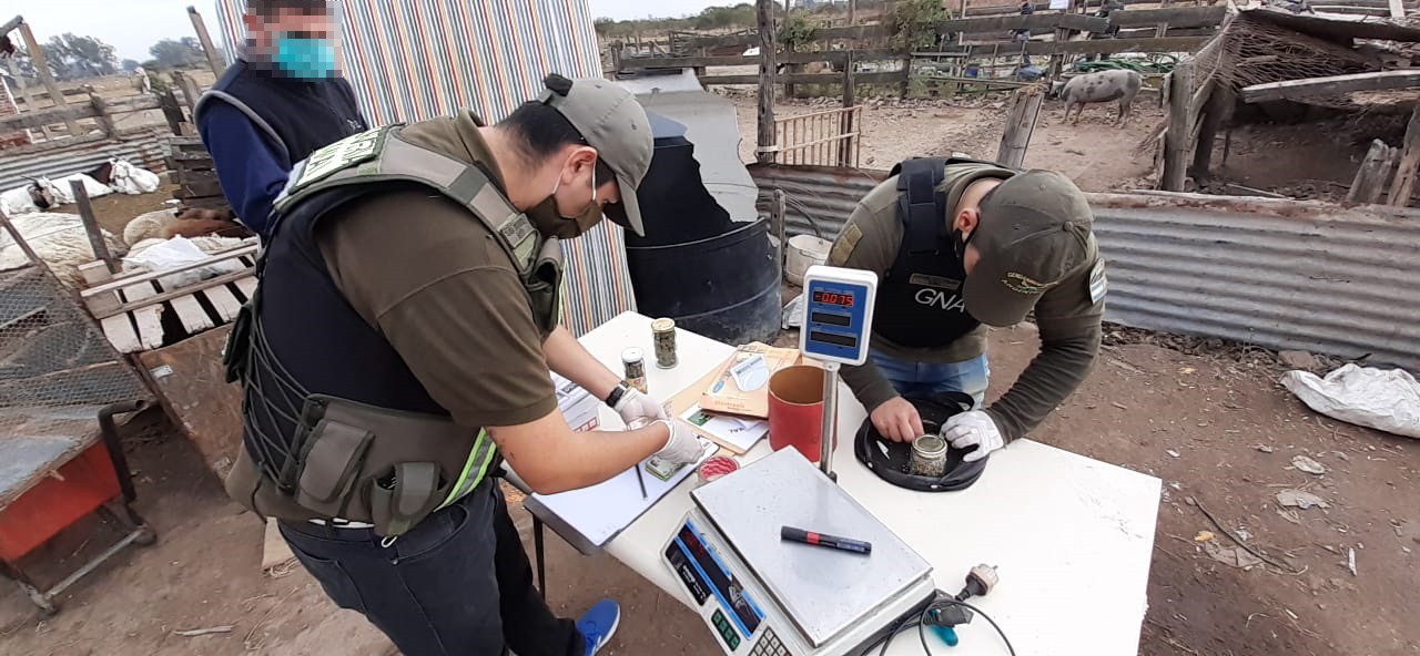 San Francisco: múltiples allanamientos y dos integrantes de una organización delictiva detenidos | Córdoba