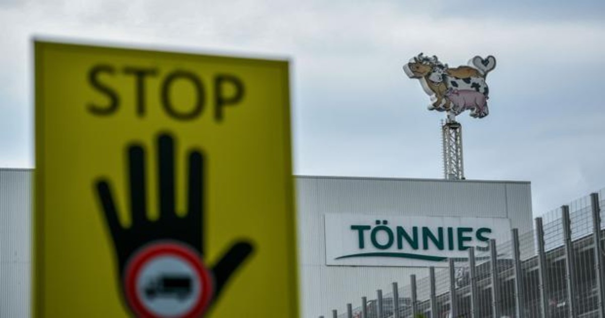 Alarma en una ciudad alemana por un rebrote de coronavirus con 650 contagios en un matadero | Internacionales