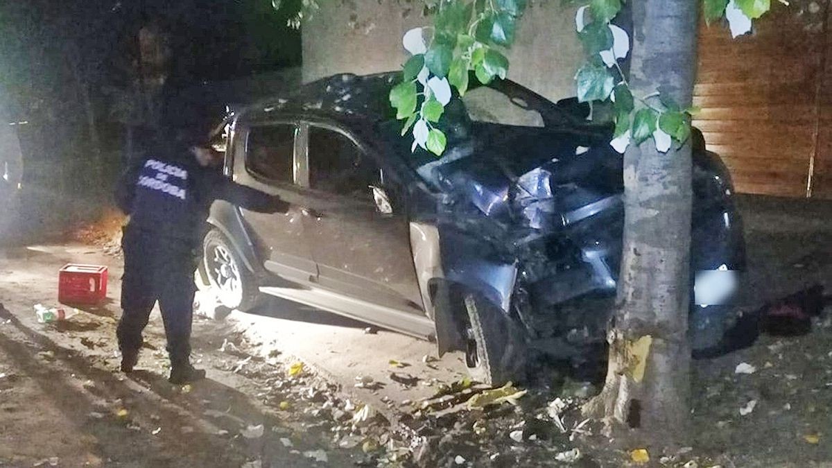 Camioneta fuera de control terminó chocando contra un árbol | Córdoba