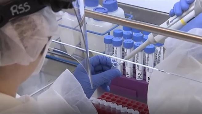 Estudio: un 20% de las personas sanas tiene anticuerpos contra el coronavirus por resfriados comunes | Internacionales