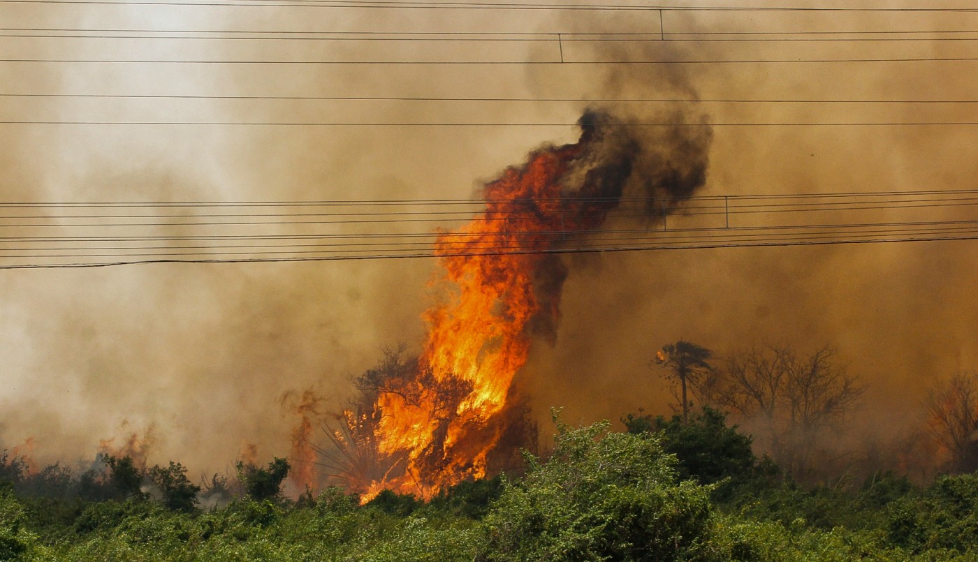 Este es el peor junio en 13 años para la Amazonia brasileña por los incendios | Internacionales