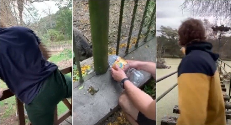 La Plata: Municipio demandará a youtubers que irrumpieron en el Bioparque | Actualidad