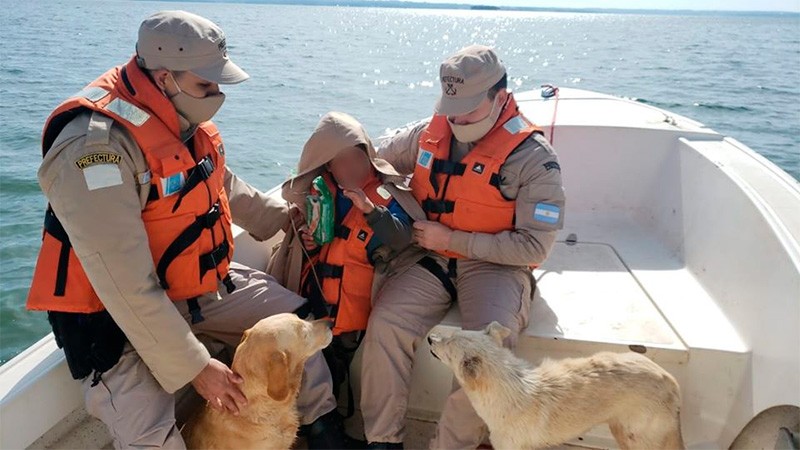 Rescataron a niño que pasó la noche abrazado a dos perros cerca del río Paraná | Actualidad