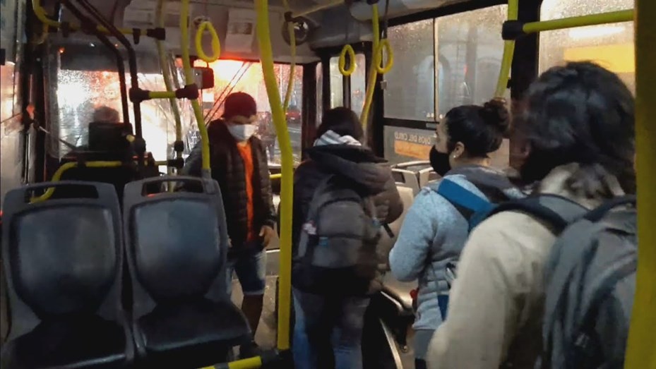 Para orientarse en la parada: así quedaron las líneas del transporte urbano | Córdoba