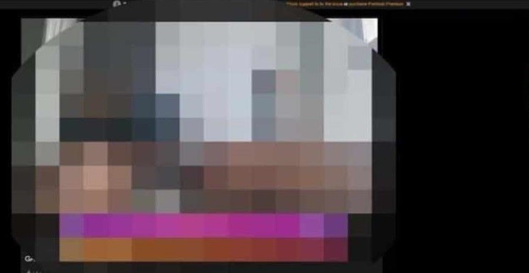 Haceko a Twitter: hackearon la audiencia judicial y pusieron videos porno | Internacionales