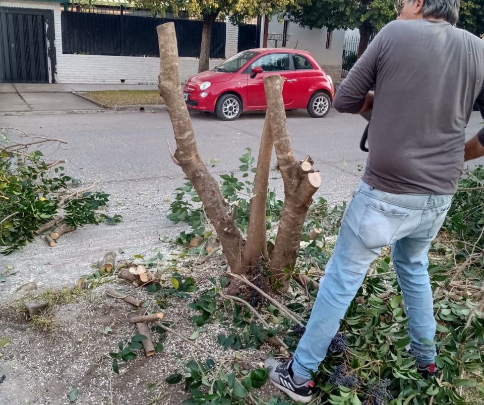 El ex jefe de la EPE de Funes corrió con una motosierra a un inspector | Actualidad