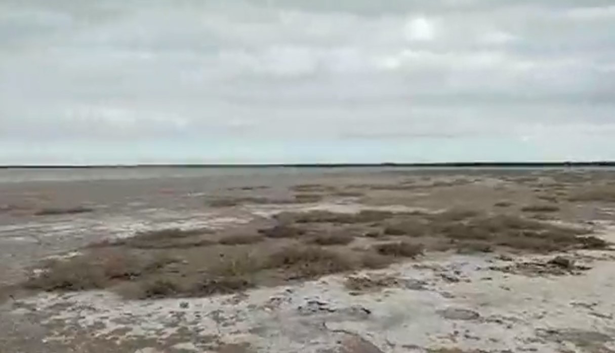 Video: este es el lugar donde encontraron el cuerpo | Actualidad